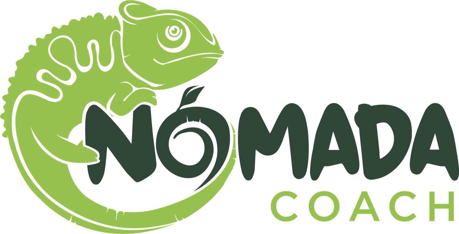 nomadacoach logo